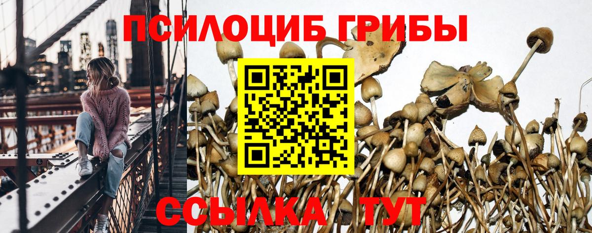купить закладку  Псилоцибиновые грибы мицелий  Вход с VPN  Сергиев Посад 